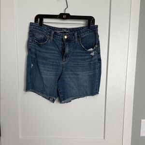 Universal Thread Blue Denim Shorts